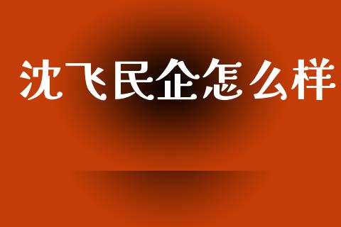 沈飞民企怎么样_https://cj004.lansai.wang_全球市场_第1张