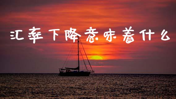 汇率下降意味着什么_https://cj004.lansai.wang_金融监管_第1张