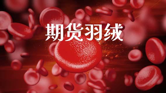 期货羽绒_https://cj004.lansai.wang_外汇交易_第1张