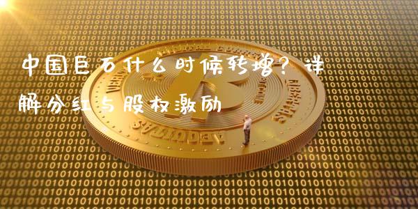 中国巨石什么时候转增？详解分红与股权激励_https://cj004.lansai.wang_财经新闻_第1张