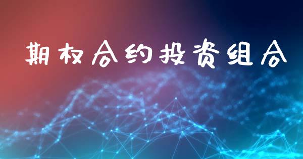 期权合约投资组合_https://cj004.lansai.wang_债券资讯_第1张
