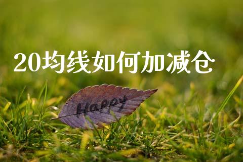 20均线如何加减仓_https://cj004.lansai.wang_金融监管_第1张