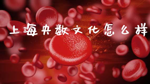 上海央数文化怎么样_https://cj004.lansai.wang_财经新闻_第1张
