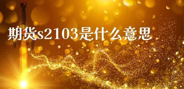 期货s2103是什么意思_https://cj004.lansai.wang_财经新闻_第1张