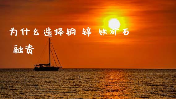 为什么选择铜 锌 铁矿石 融资_https://cj004.lansai.wang_债券资讯_第1张