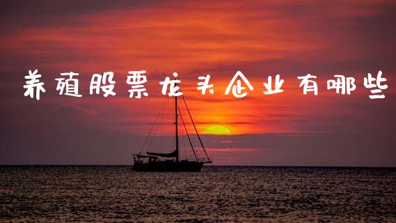 养殖股票龙头企业有哪些_https://cj004.lansai.wang_期货开户_第1张