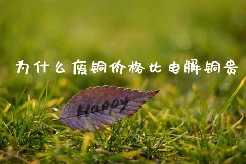为什么废铜价格比电解铜贵_https://cj004.lansai.wang_金融监管_第1张
