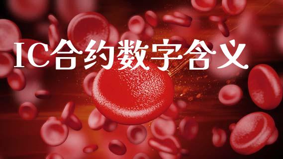 IC合约数字含义_https://cj004.lansai.wang_全球市场_第1张