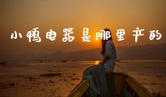 小鸭电器是哪里产的_https://cj004.lansai.wang_外汇交易_第1张