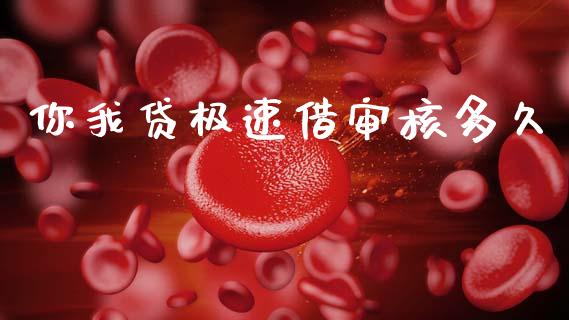 你我贷极速借审核多久_https://cj004.lansai.wang_金融监管_第1张