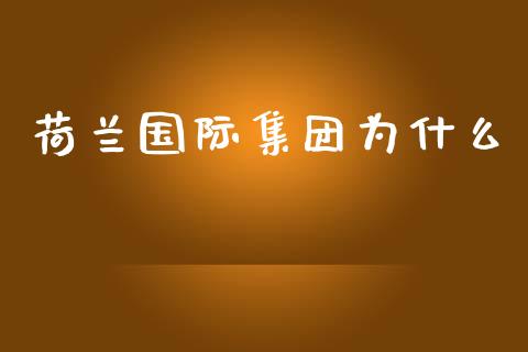 荷兰国际集团为什么_https://cj004.lansai.wang_金融监管_第1张