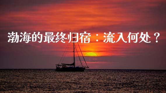 渤海的最终归宿：流入何处？_https://cj004.lansai.wang_期货开户_第1张