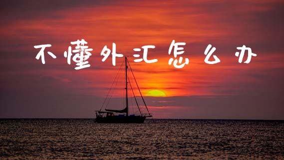 不懂外汇怎么办_https://cj004.lansai.wang_财经新闻_第1张