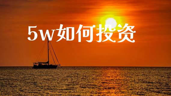 5w如何投资_https://cj004.lansai.wang_财经新闻_第1张