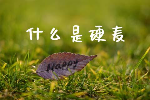 什么是硬麦_财经新闻_第1张_期货开户_金融监管_外汇交易_债券资讯_全球市场_财经新闻 什么是硬麦_https://cj004.lansai.wang_财经新闻_第1张