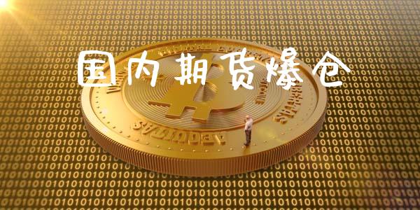 国内期货爆仓_https://cj004.lansai.wang_外汇交易_第1张