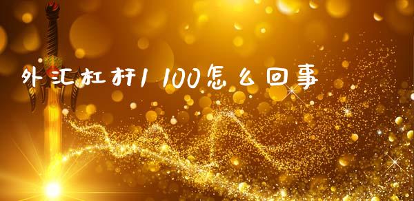 外汇杠杆1 100怎么回事_https://cj004.lansai.wang_金融监管_第1张
