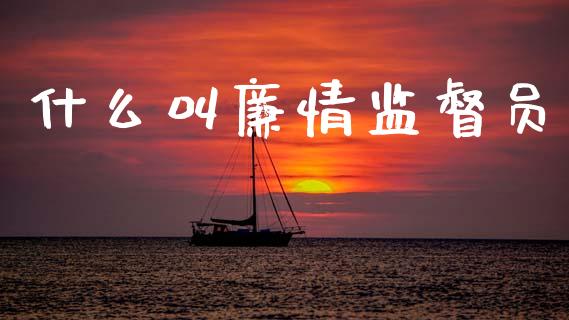 什么叫廉情监督员_https://cj004.lansai.wang_金融监管_第1张