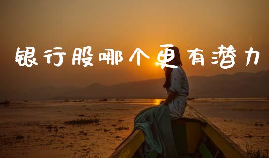 银行股哪个更有潜力_https://cj004.lansai.wang_期货开户_第1张