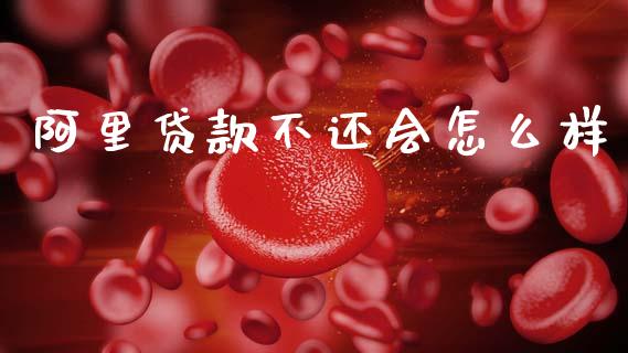 阿里贷款不还会怎么样_https://cj004.lansai.wang_期货开户_第1张