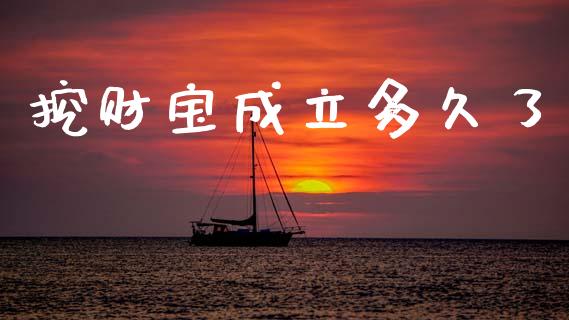 挖财宝成立多久了_https://cj004.lansai.wang_外汇交易_第1张