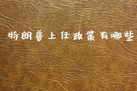 特朗普上任政策有哪些_https://cj004.lansai.wang_财经新闻_第1张