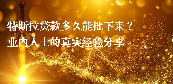 特斯拉贷款多久能批下来？业内人士的真实经验分享_https://cj004.lansai.wang_金融监管_第1张
