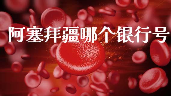 阿塞拜疆哪个银行号_https://cj004.lansai.wang_期货开户_第1张