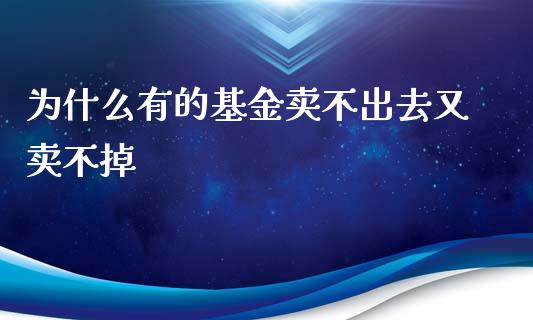 为什么有的基金卖不出去又卖不掉_https://cj004.lansai.wang_期货开户_第1张
