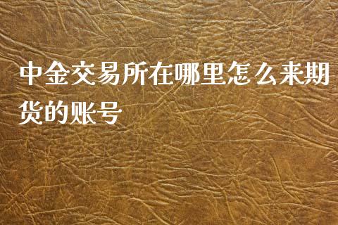 中金交易所在哪里怎么来期货的账号_https://cj004.lansai.wang_债券资讯_第1张
