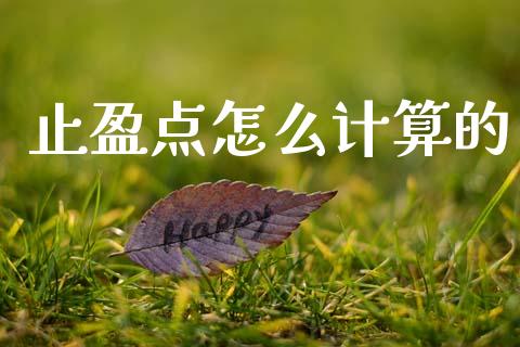 止盈点怎么计算的_https://cj004.lansai.wang_全球市场_第1张