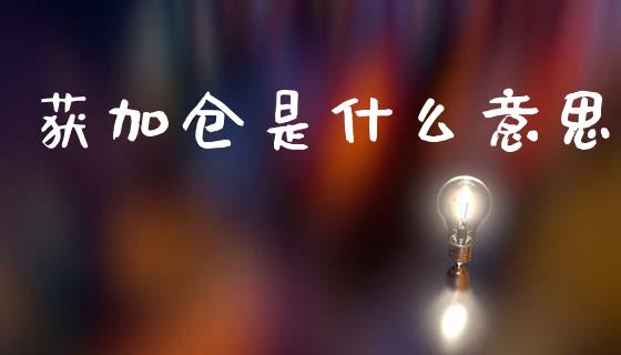 获加仓是什么意思_https://cj004.lansai.wang_债券资讯_第1张