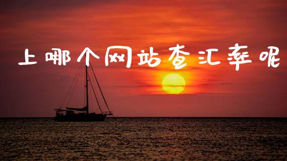 上哪个网站查汇率呢_https://cj004.lansai.wang_财经新闻_第1张