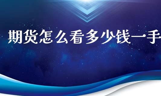 期货怎么看多少钱一手_https://cj004.lansai.wang_外汇交易_第1张