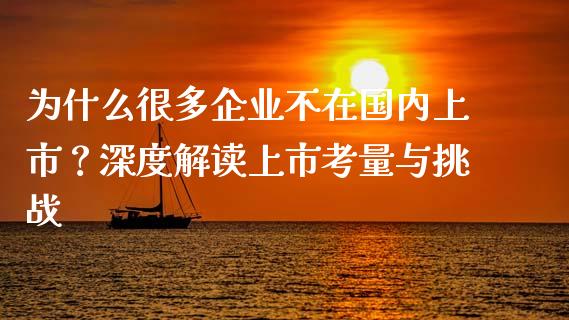 为什么很多企业不在国内上市？深度解读上市考量与挑战_https://cj004.lansai.wang_金融监管_第1张