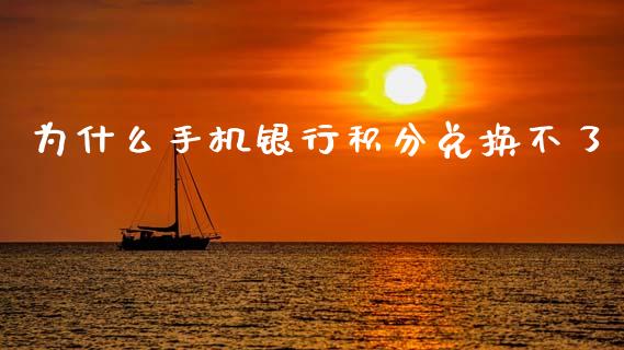 为什么手机银行积分兑换不了_https://cj004.lansai.wang_全球市场_第1张