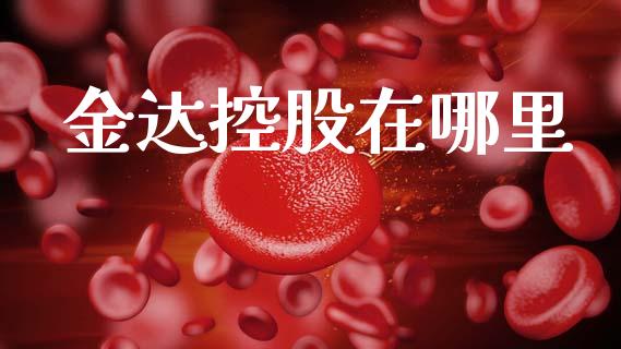 金达控股在哪里_https://cj004.lansai.wang_财经新闻_第1张