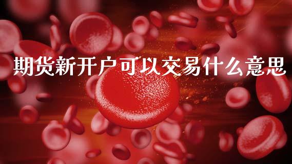 期货新开户可以交易什么意思_https://cj004.lansai.wang_债券资讯_第1张