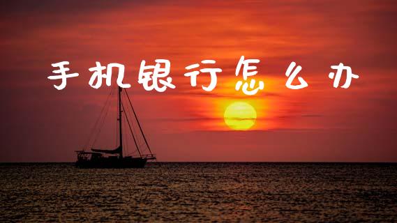 手机银行怎么办_https://cj004.lansai.wang_金融监管_第1张