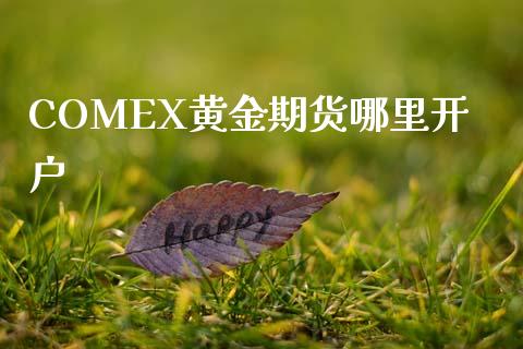 COMEX黄金期货哪里开户_https://cj004.lansai.wang_债券资讯_第1张