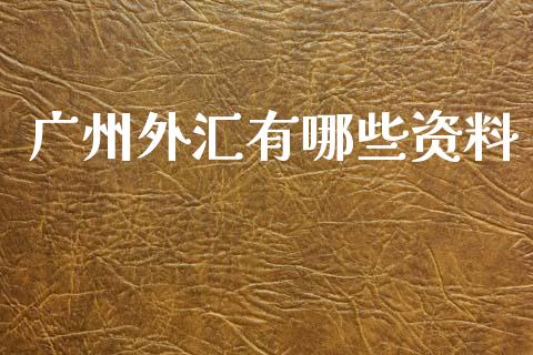 广州外汇有哪些资料_https://cj004.lansai.wang_金融监管_第1张