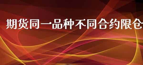 期货同一品种不同合约限仓_https://cj004.lansai.wang_期货开户_第1张