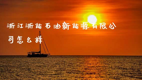 浙江浙能石油新能源有限公司怎么样_https://cj004.lansai.wang_外汇交易_第1张