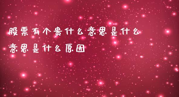 股票有个贵什么意思是什么意思是什么原因_https://cj004.lansai.wang_债券资讯_第1张