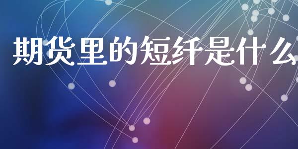 期货里的短纤是什么_https://cj004.lansai.wang_金融监管_第1张