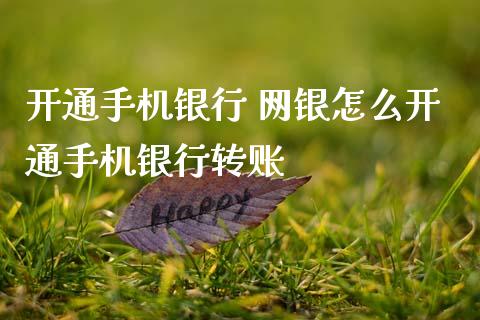 开通手机银行 网银怎么开通手机银行转账_https://cj004.lansai.wang_外汇交易_第1张