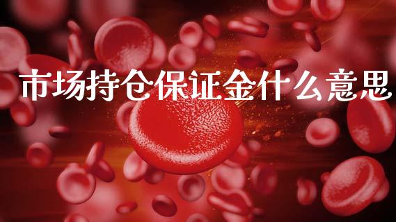 市场持仓保证金什么意思_https://cj004.lansai.wang_金融监管_第1张