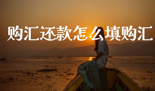 购汇还款怎么填购汇_https://cj004.lansai.wang_全球市场_第1张