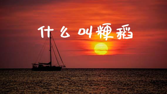 什么叫粳稻_https://cj004.lansai.wang_债券资讯_第1张