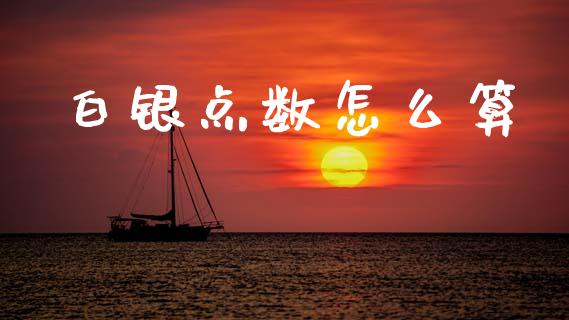 白银点数怎么算_https://cj004.lansai.wang_外汇交易_第1张